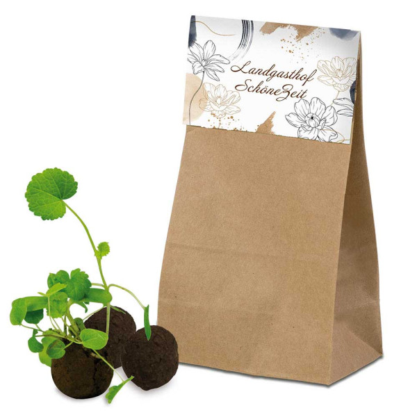 Flower-Balls in Tüte mit Samen