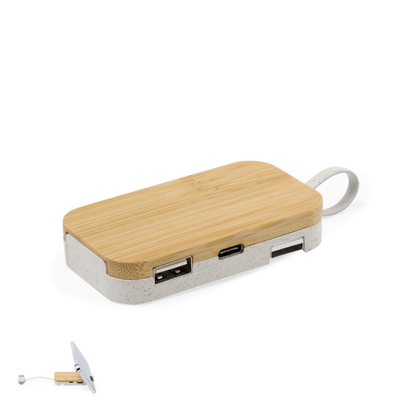 Halter USB Hub Flow