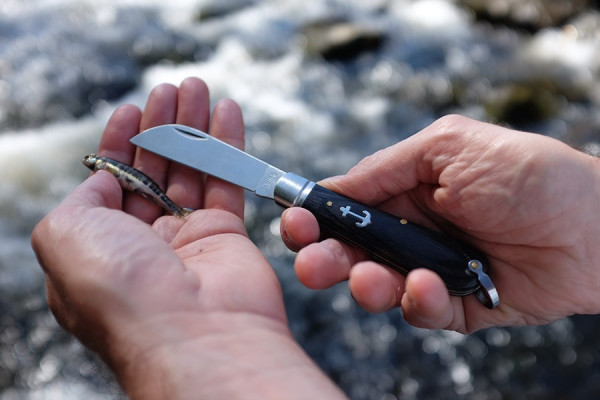 Traditionnelles Taschenmesser 'Breizh'